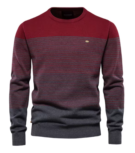 Aurea | Pull robuste pour hommes